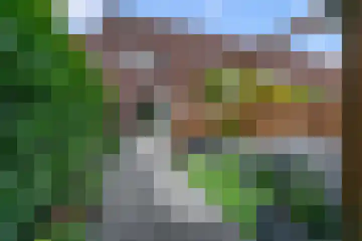 Saendelverlaan 179 Assendelft thumbnail 11