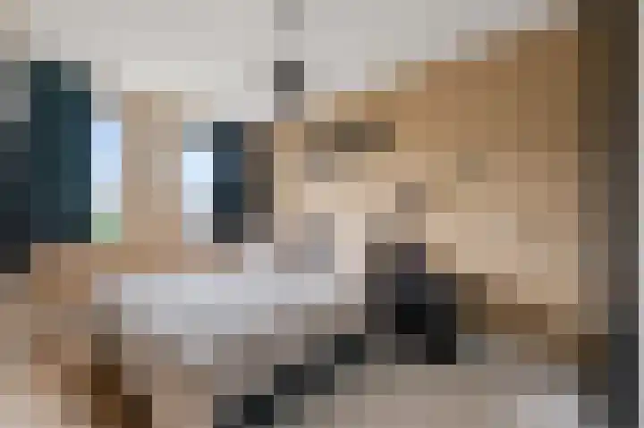 Saendelverlaan 179 Assendelft thumbnail 14