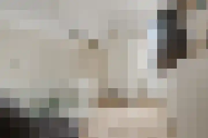 Saendelverlaan 179 Assendelft thumbnail 19