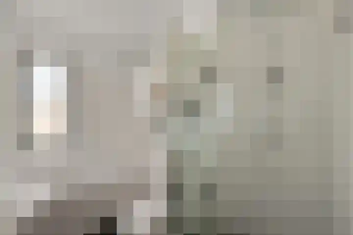 Saendelverlaan 179 Assendelft thumbnail 21
