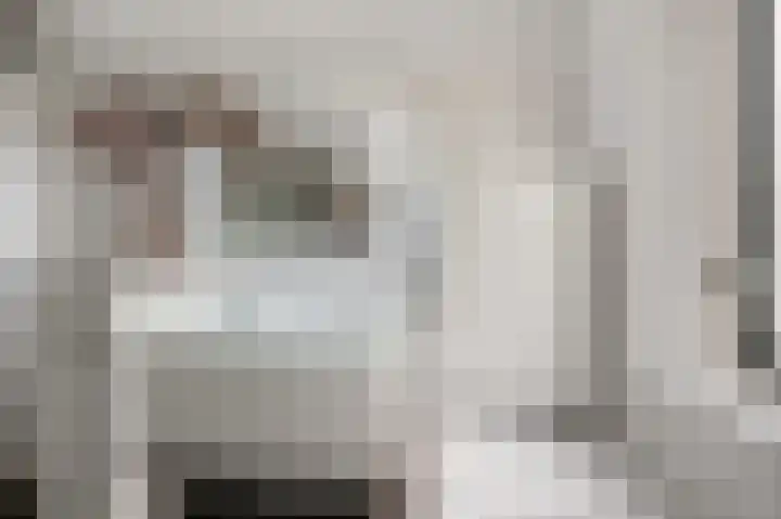 Saendelverlaan 179 Assendelft thumbnail 22