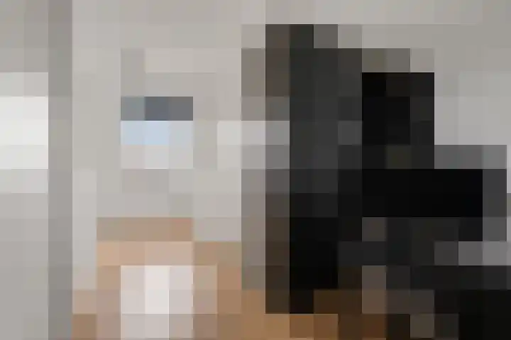 Saendelverlaan 179 Assendelft thumbnail 23