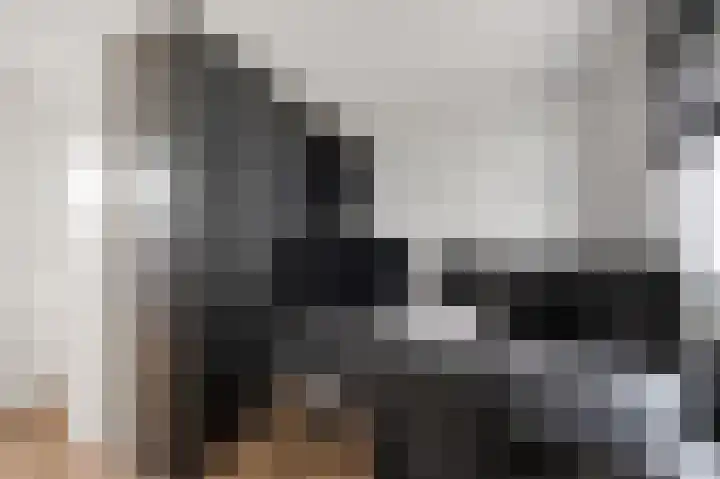 Saendelverlaan 179 Assendelft thumbnail 24