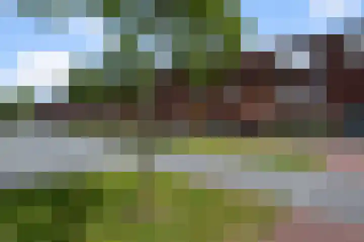 Saendelverlaan 179 Assendelft thumbnail 27