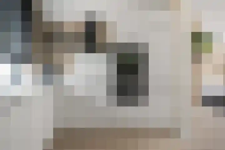 Saendelverlaan 179 Assendelft thumbnail 4