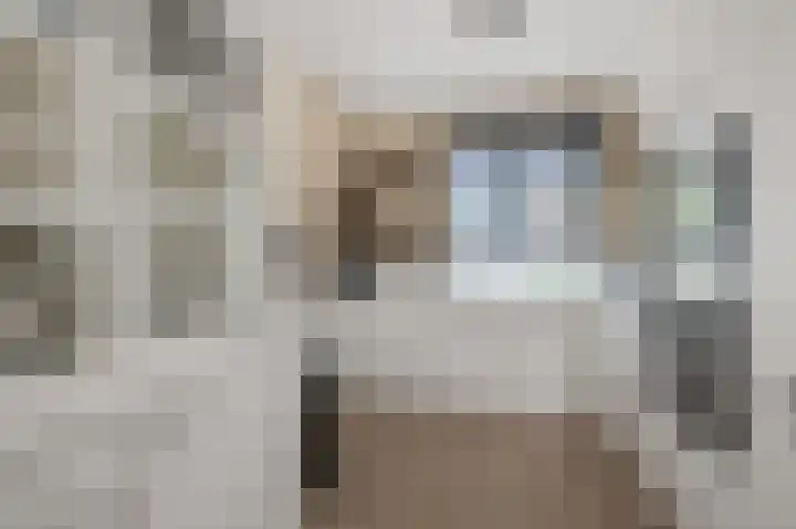 Saendelverlaan 179 Assendelft thumbnail 5