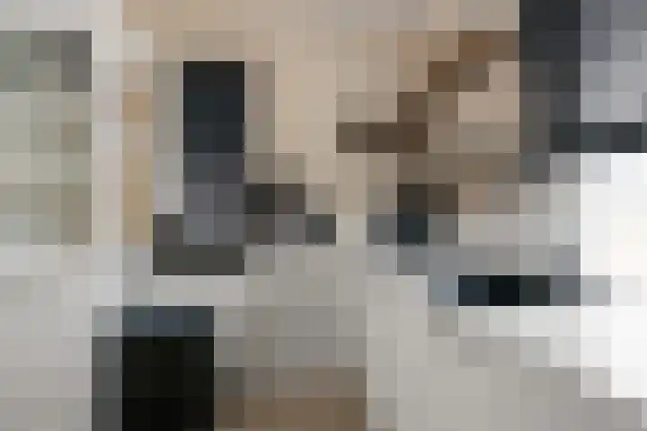 Saendelverlaan 179 Assendelft thumbnail 6