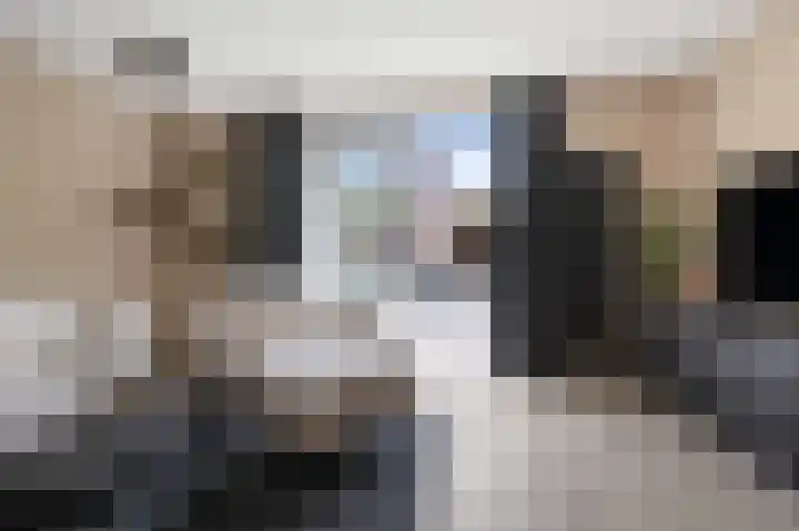 Saendelverlaan 179 Assendelft thumbnail 8