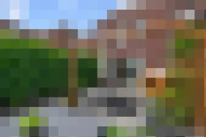 Saendelverlaan 179 Assendelft thumbnail 9