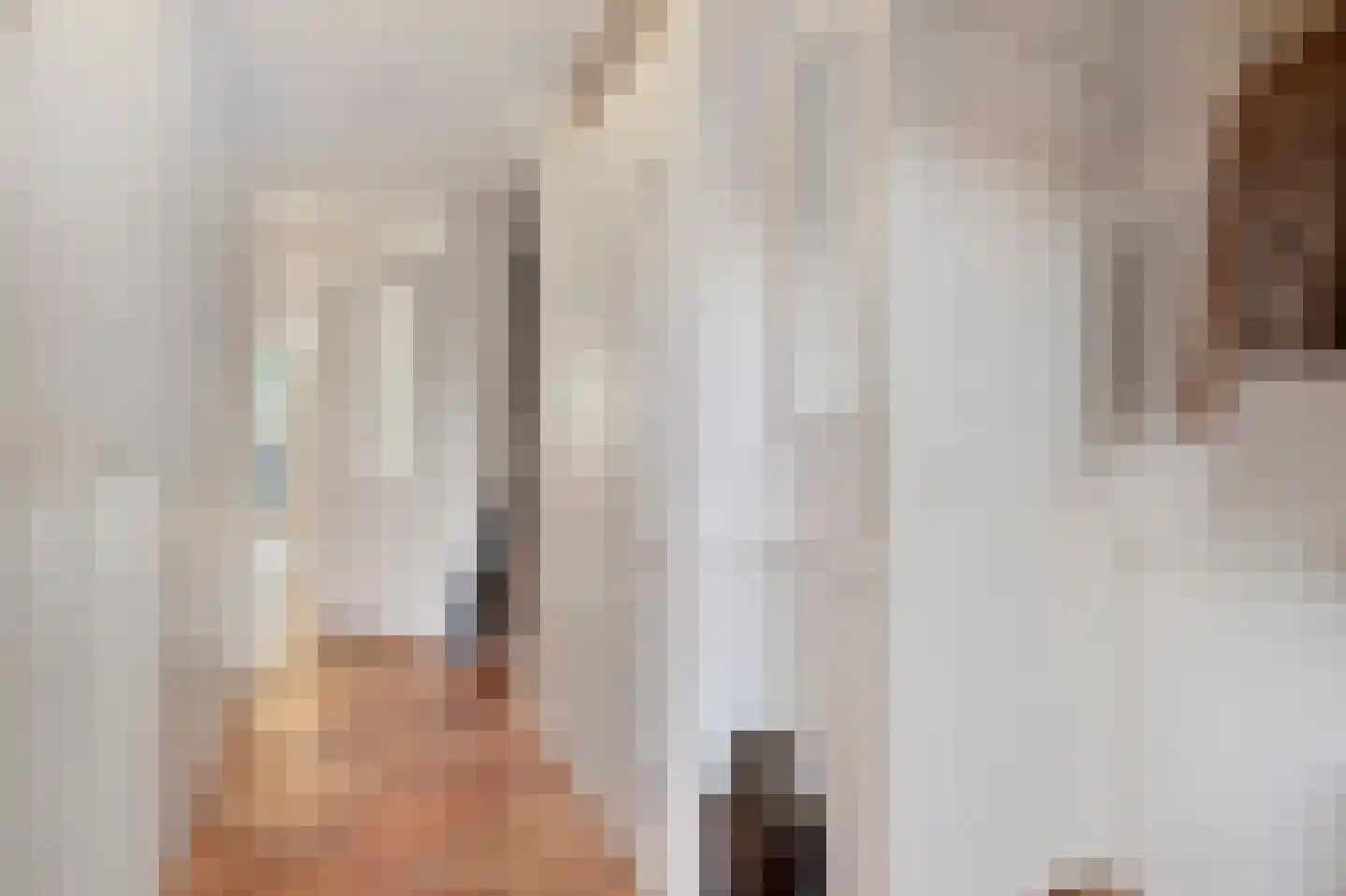 Saenredamhof 29 Alkmaar thumbnail 11