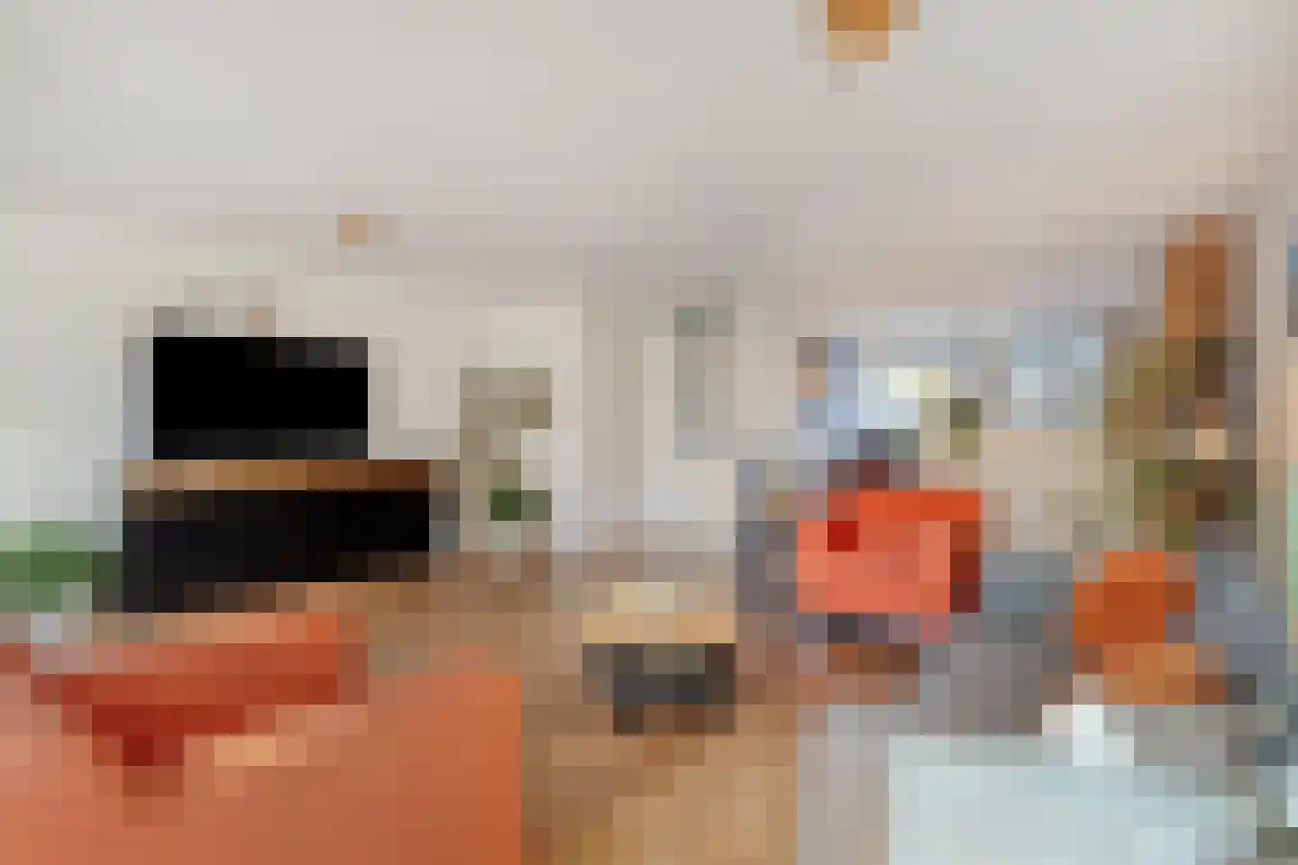 Saenredamhof 29 Alkmaar thumbnail 13