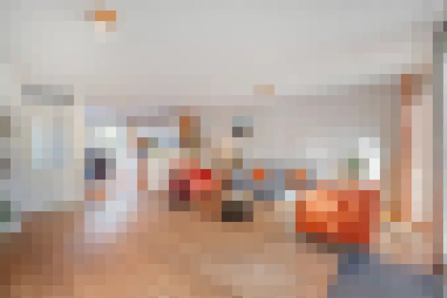 Saenredamhof 29 Alkmaar thumbnail 17