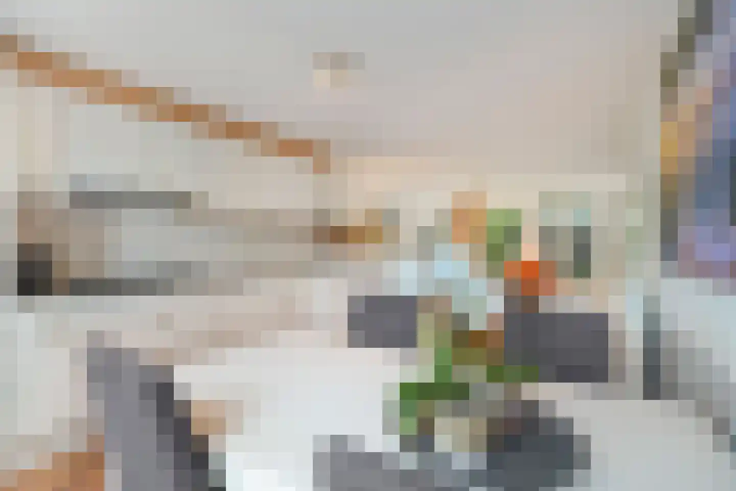 Saenredamhof 29 Alkmaar thumbnail 24