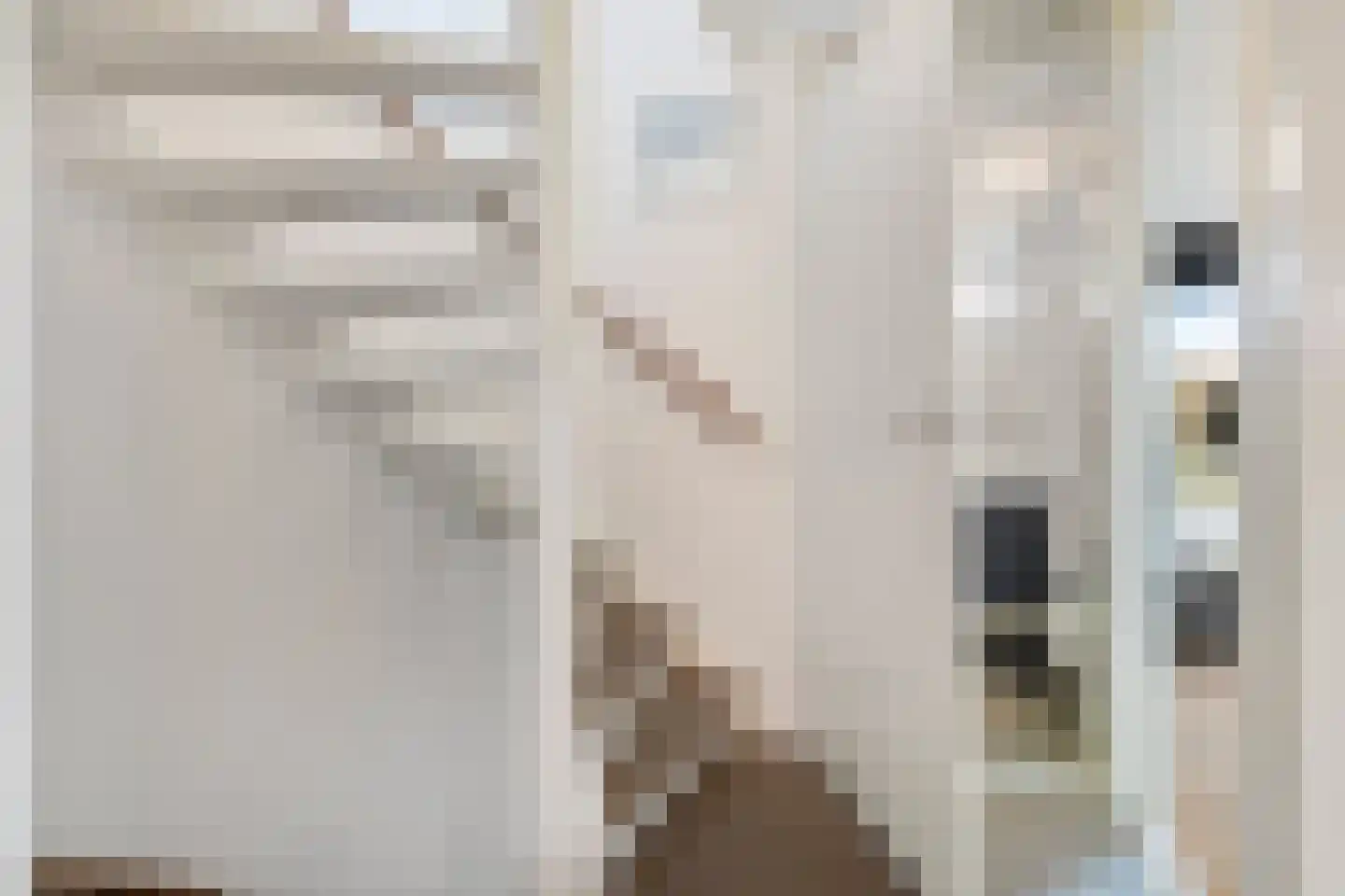 Saenredamhof 29 Alkmaar thumbnail 26