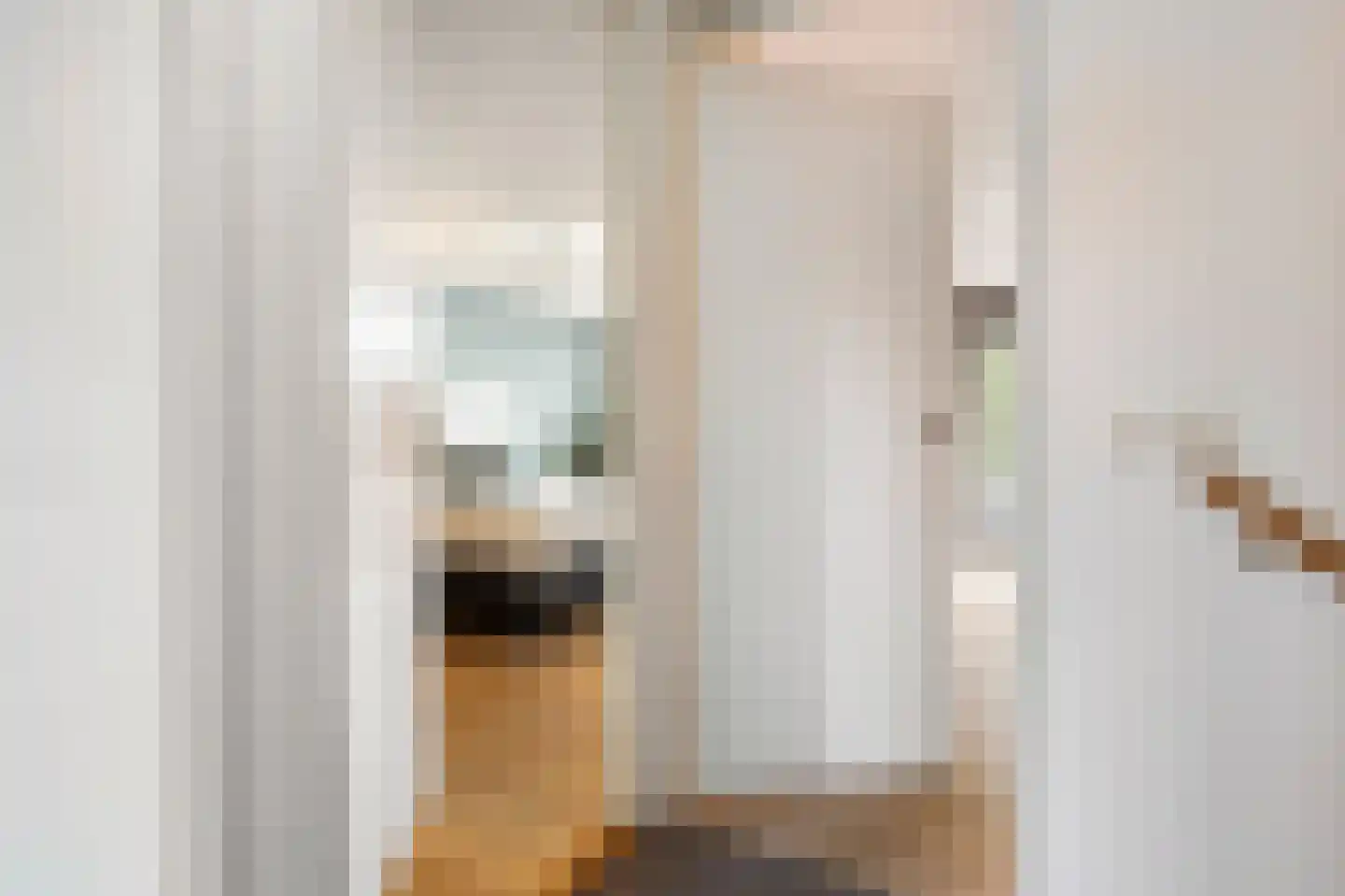 Saenredamhof 29 Alkmaar thumbnail 33