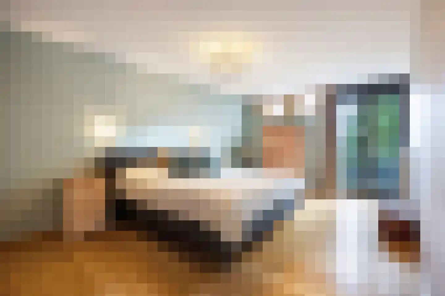 Saenredamhof 29 Alkmaar thumbnail 34