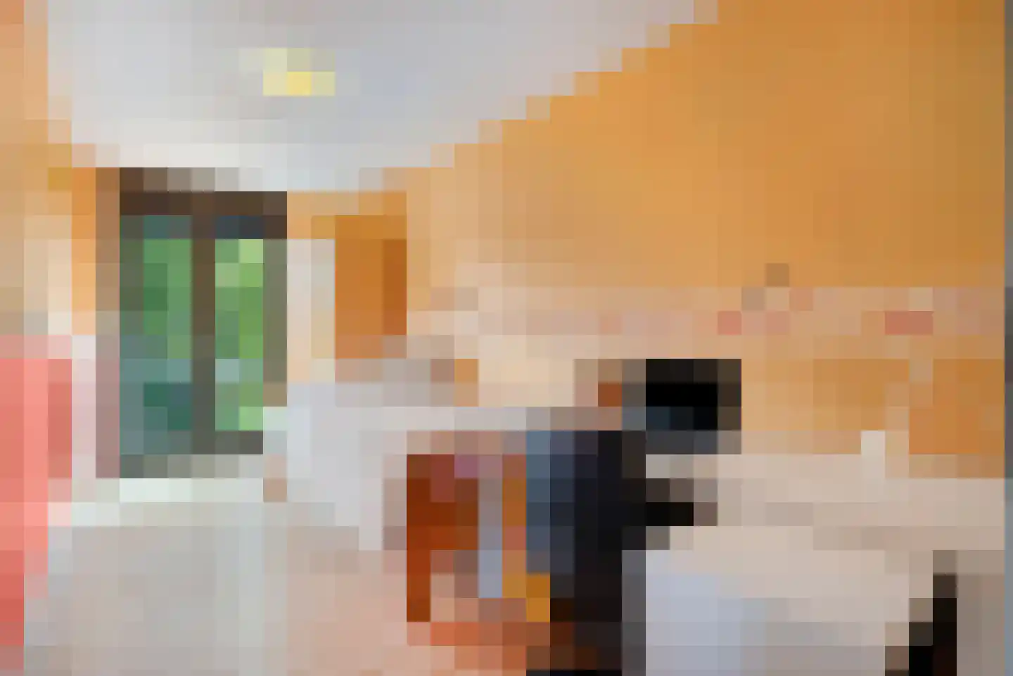 Saenredamhof 29 Alkmaar thumbnail 36