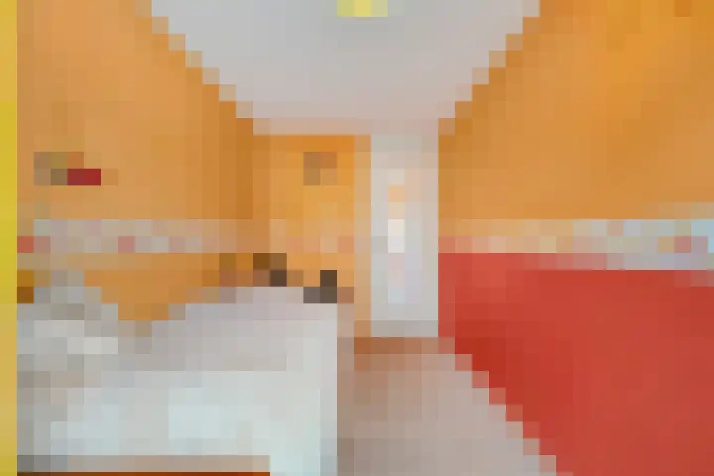 Saenredamhof 29 Alkmaar thumbnail 37