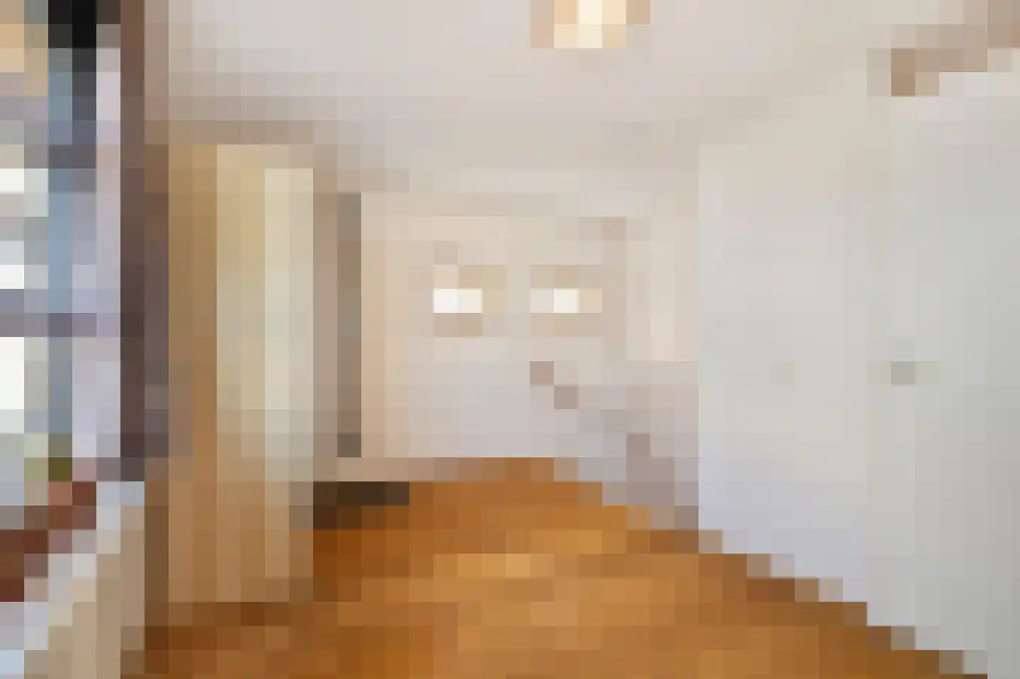 Saenredamhof 29 Alkmaar thumbnail 38