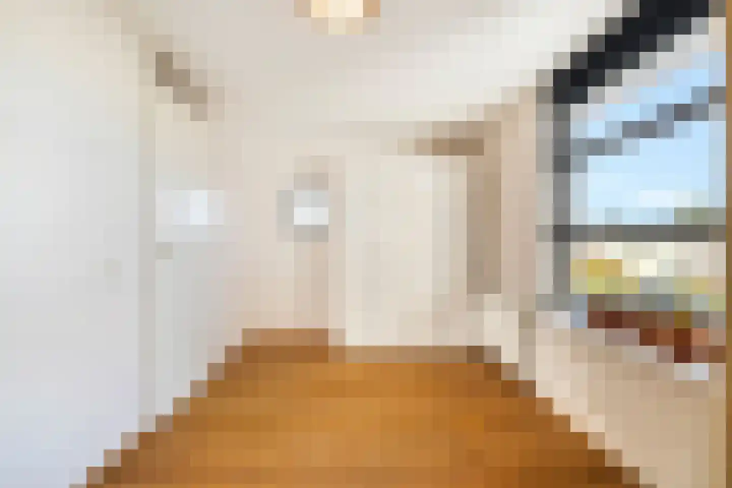 Saenredamhof 29 Alkmaar thumbnail 39