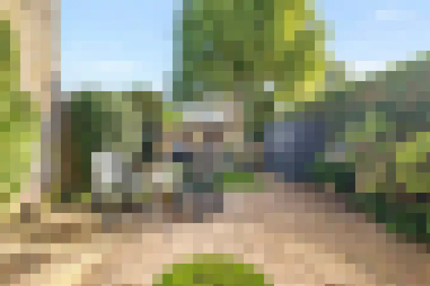 Saenredamhof 29 Alkmaar thumbnail 42