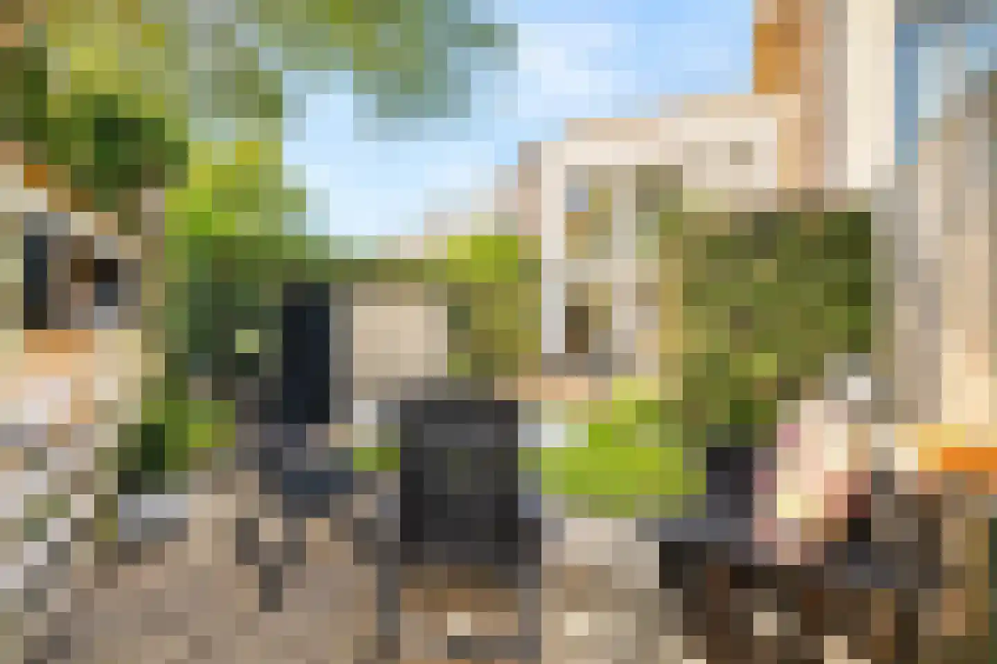 Saenredamhof 29 Alkmaar thumbnail 44