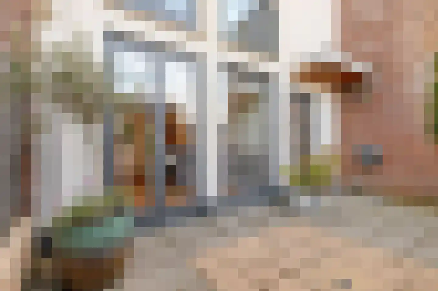 Saenredamhof 29 Alkmaar thumbnail 9