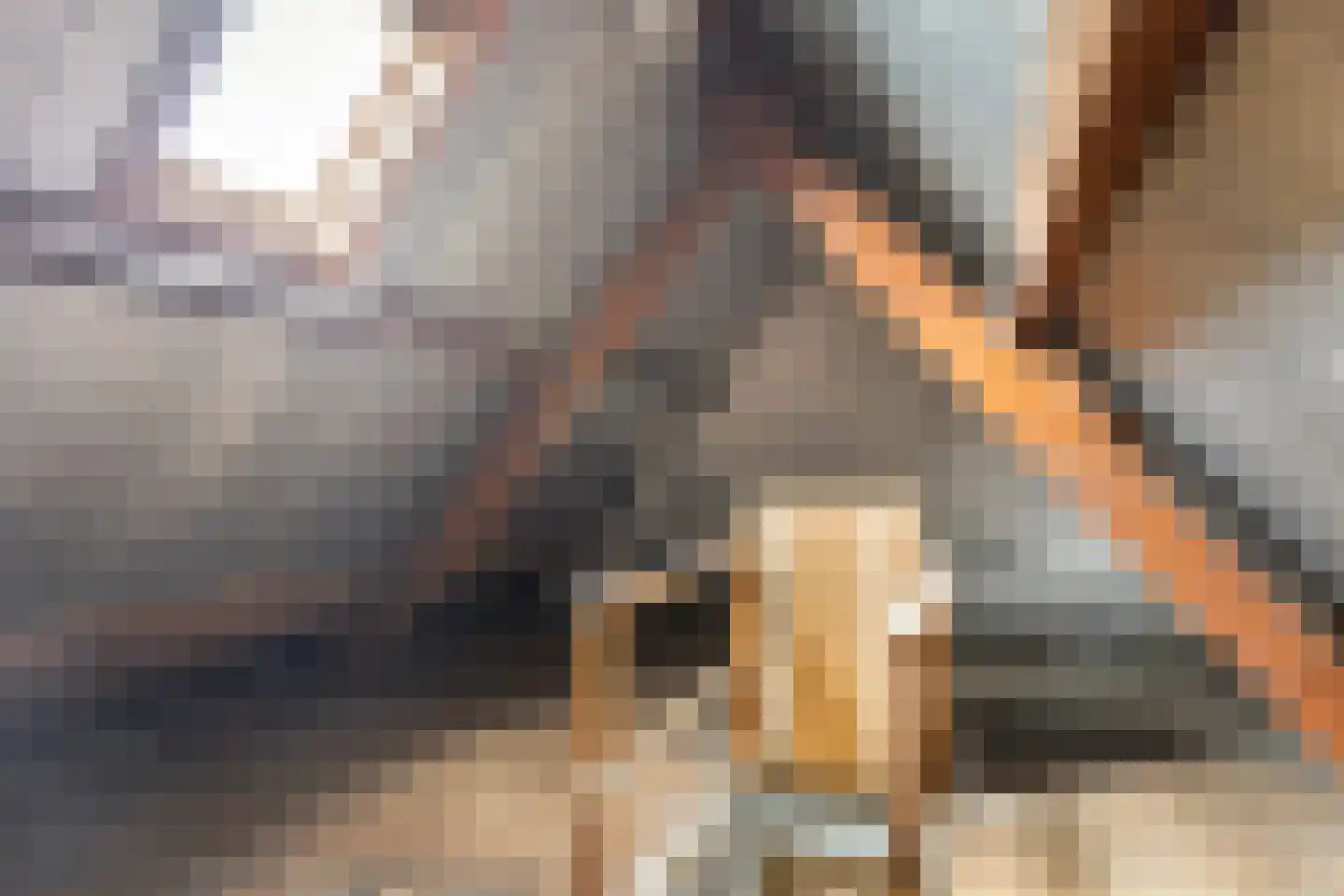 Saenredamplein 32 Rotterdam thumbnail 37