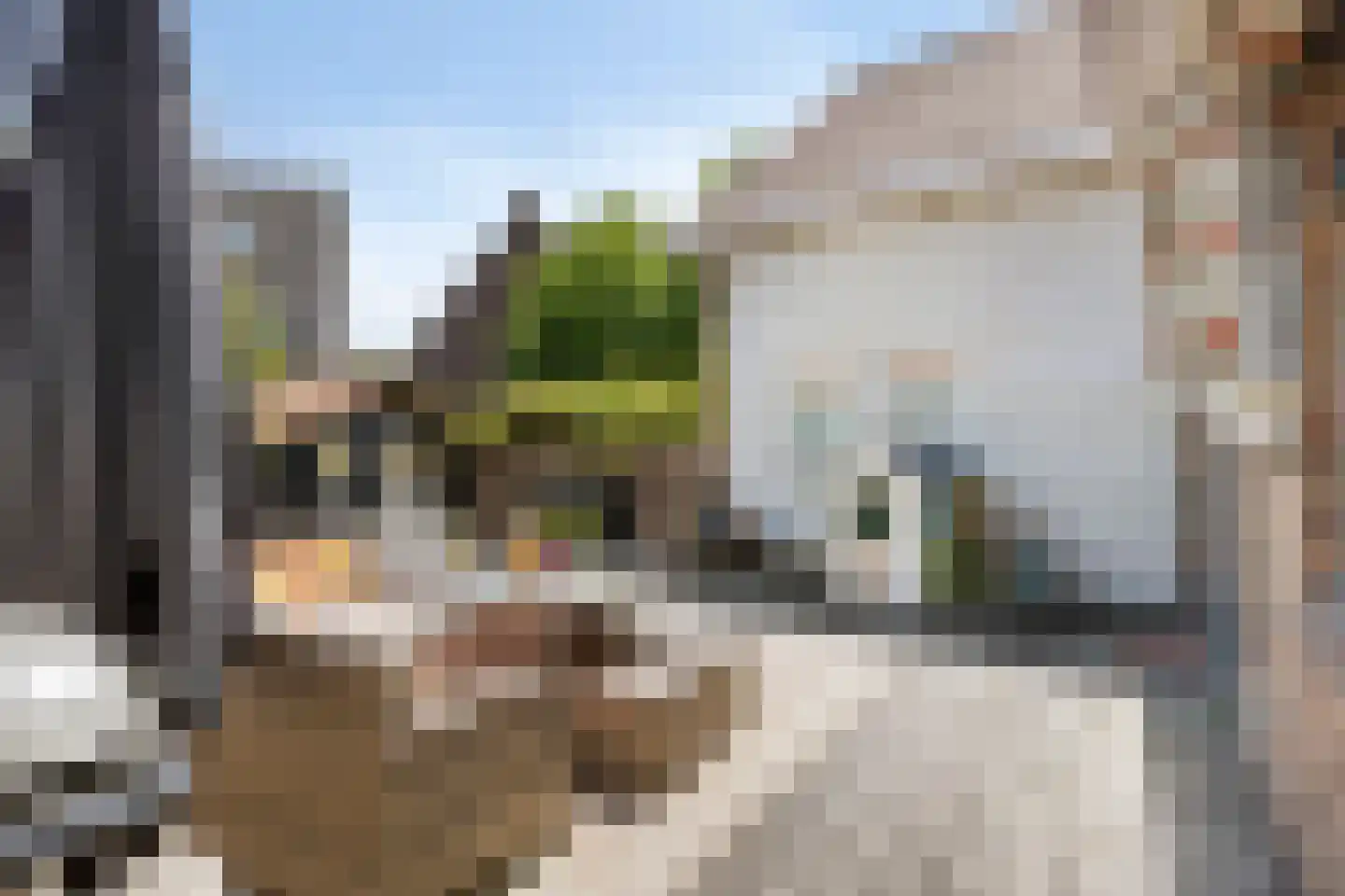 Saenredamplein 44 C Rotterdam thumbnail 14