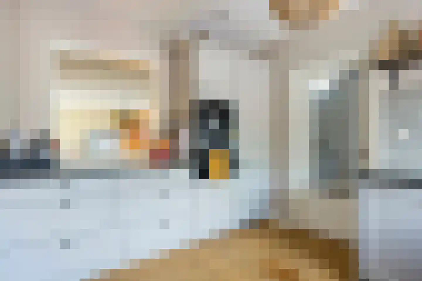 Saenredamplein 44 C Rotterdam thumbnail 29