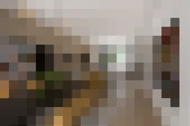 Saenredamplein 5 Rotterdam thumbnail 13