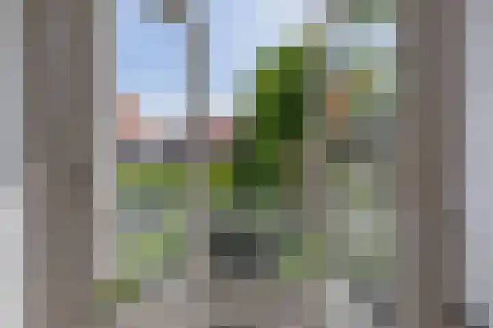 Saenredamplein 5 Rotterdam thumbnail 32