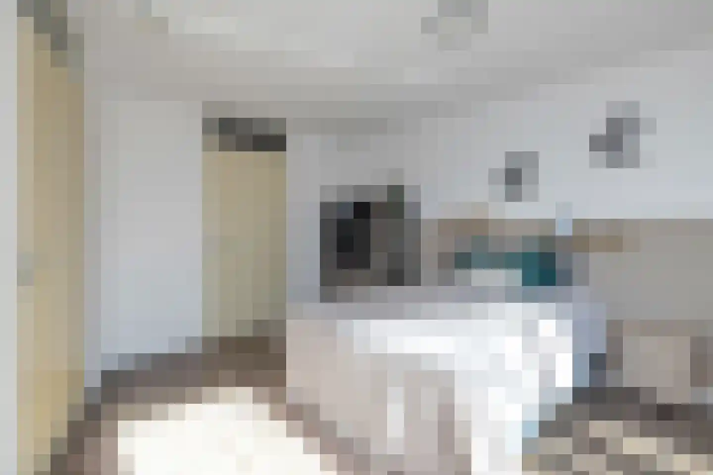 Saenredamstraat 1 Eindhoven thumbnail 26