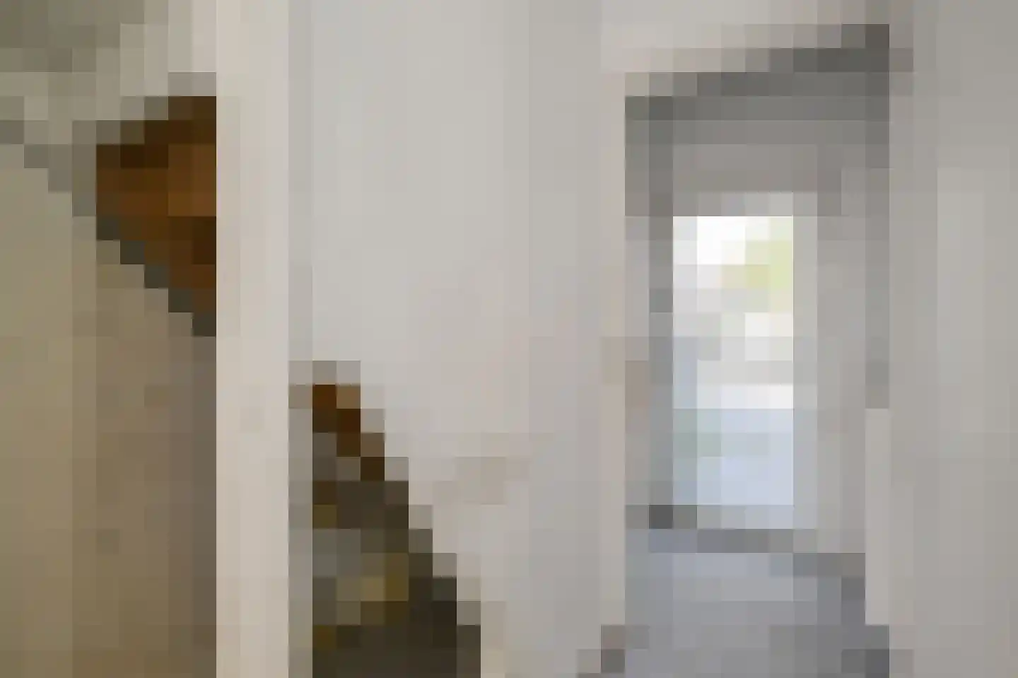 Saenredamstraat 11 Assendelft thumbnail 11