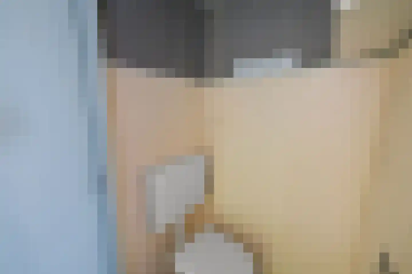Saenredamstraat 11 Assendelft thumbnail 12