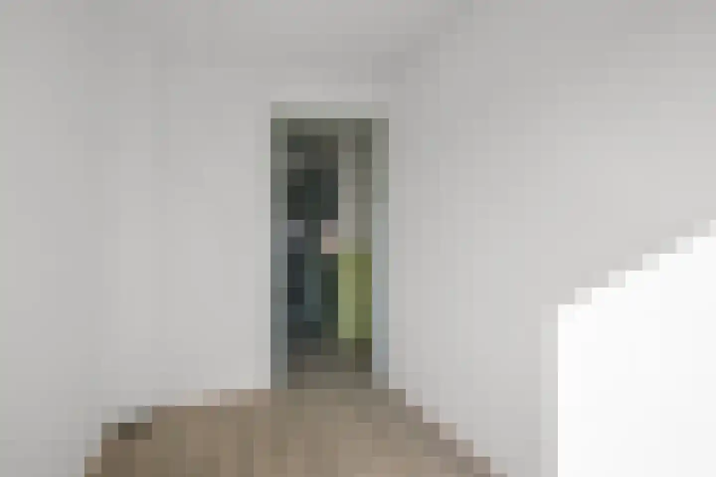 Saenredamstraat 11 Assendelft thumbnail 14
