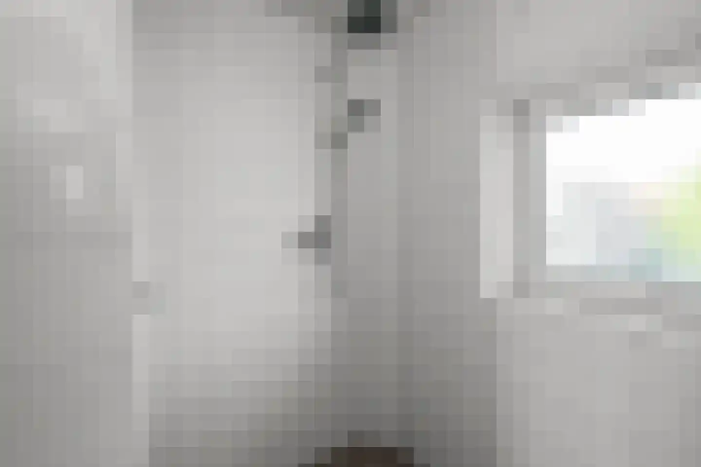 Saenredamstraat 11 Assendelft thumbnail 24