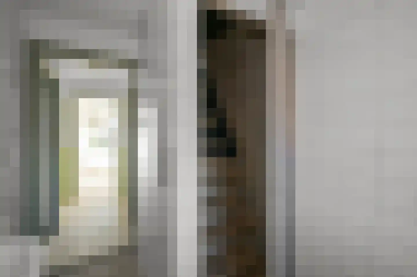 Saenredamstraat 11 Assendelft thumbnail 25
