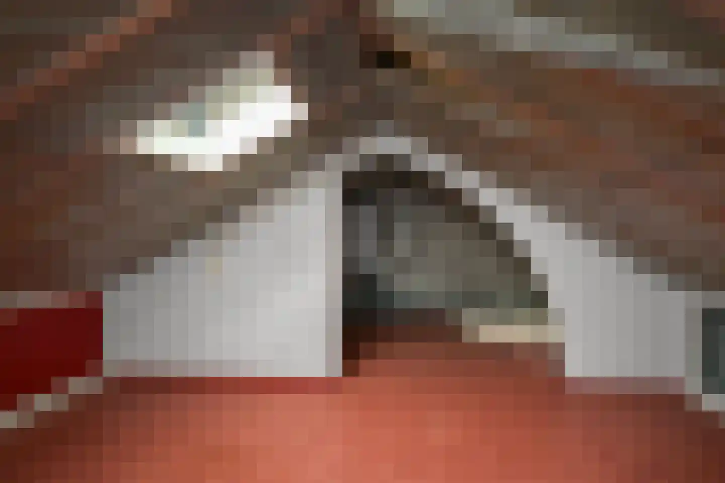 Saenredamstraat 11 Assendelft thumbnail 27