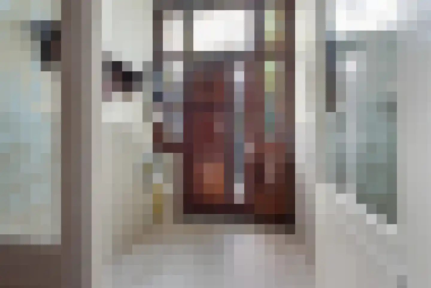 Saenredamstraat 119 Haarlem thumbnail 11