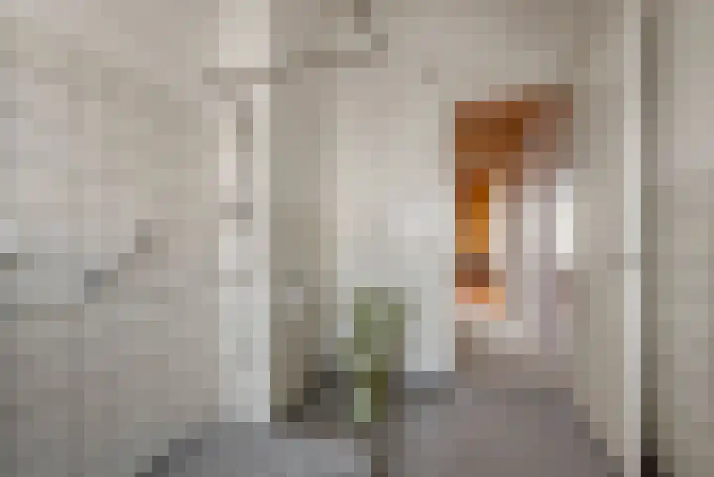 Saenredamstraat 119 Haarlem thumbnail 38