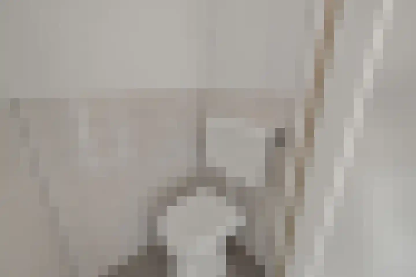 Saenredamstraat 13 Assendelft thumbnail 12