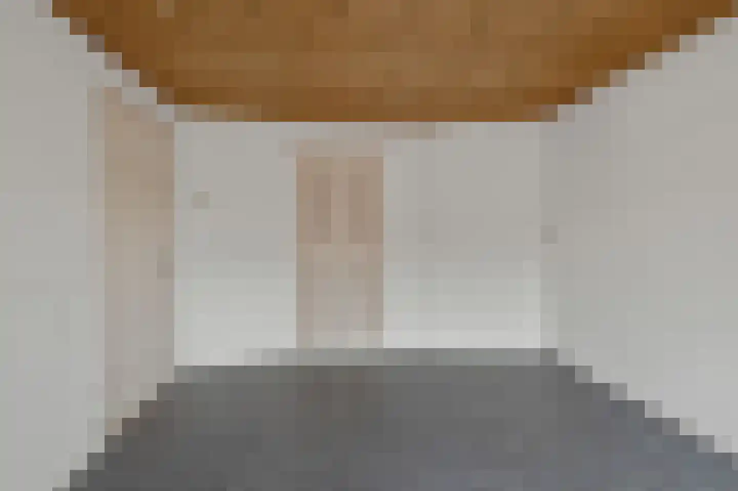 Saenredamstraat 13 Assendelft thumbnail 15