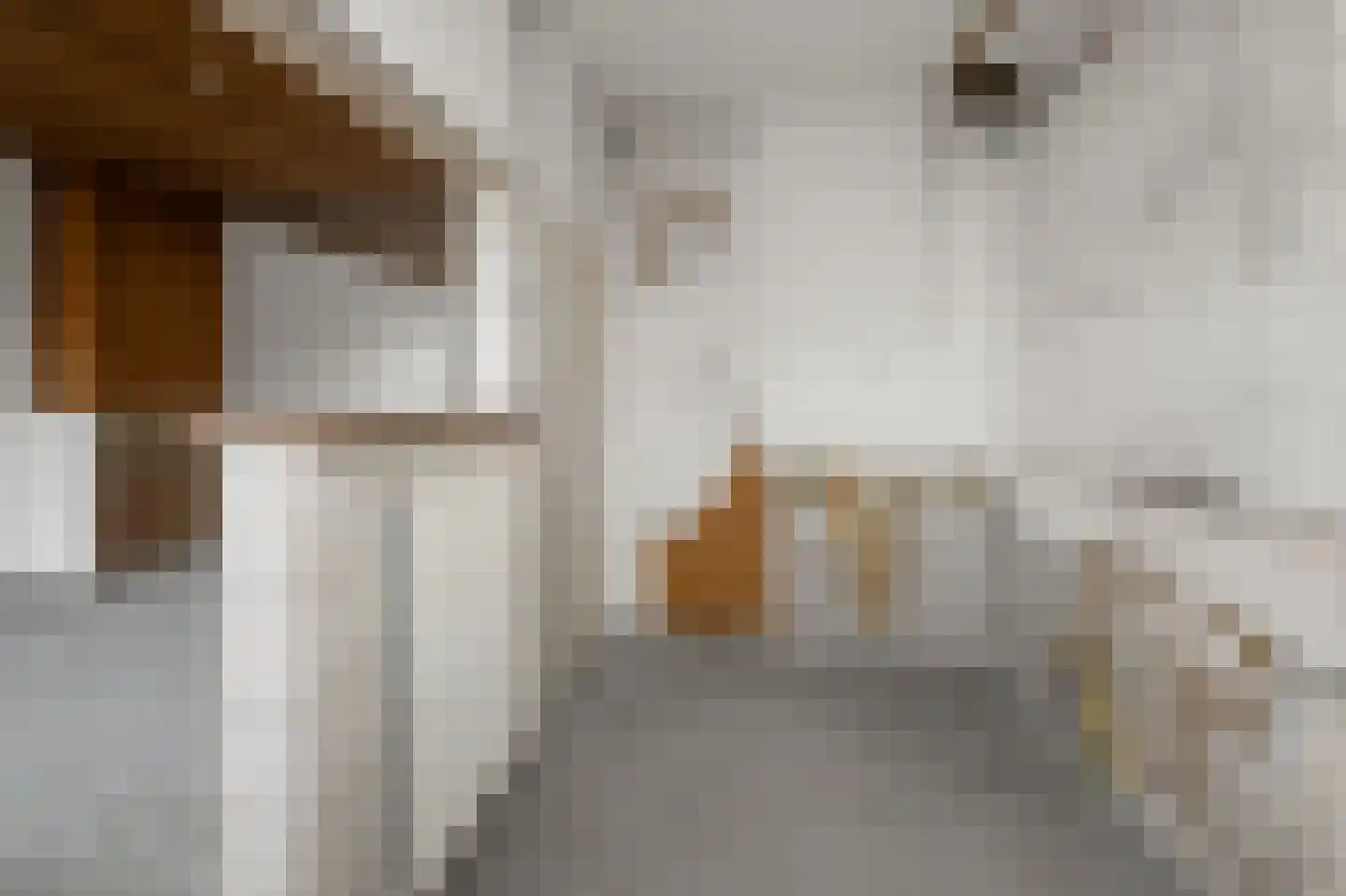 Saenredamstraat 13 Assendelft thumbnail 7