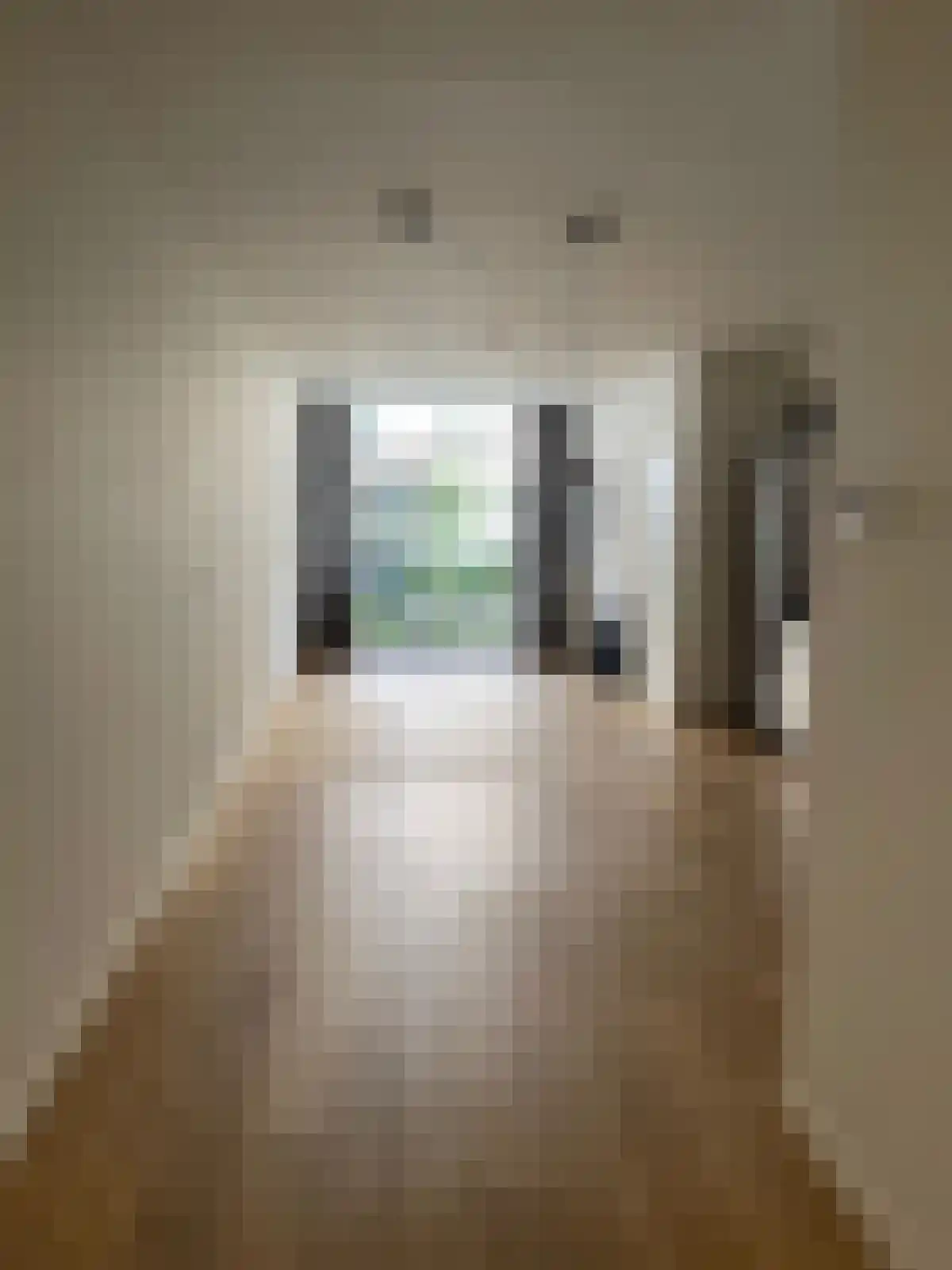 Saenredamstraat 14 Amsterdam thumbnail 5