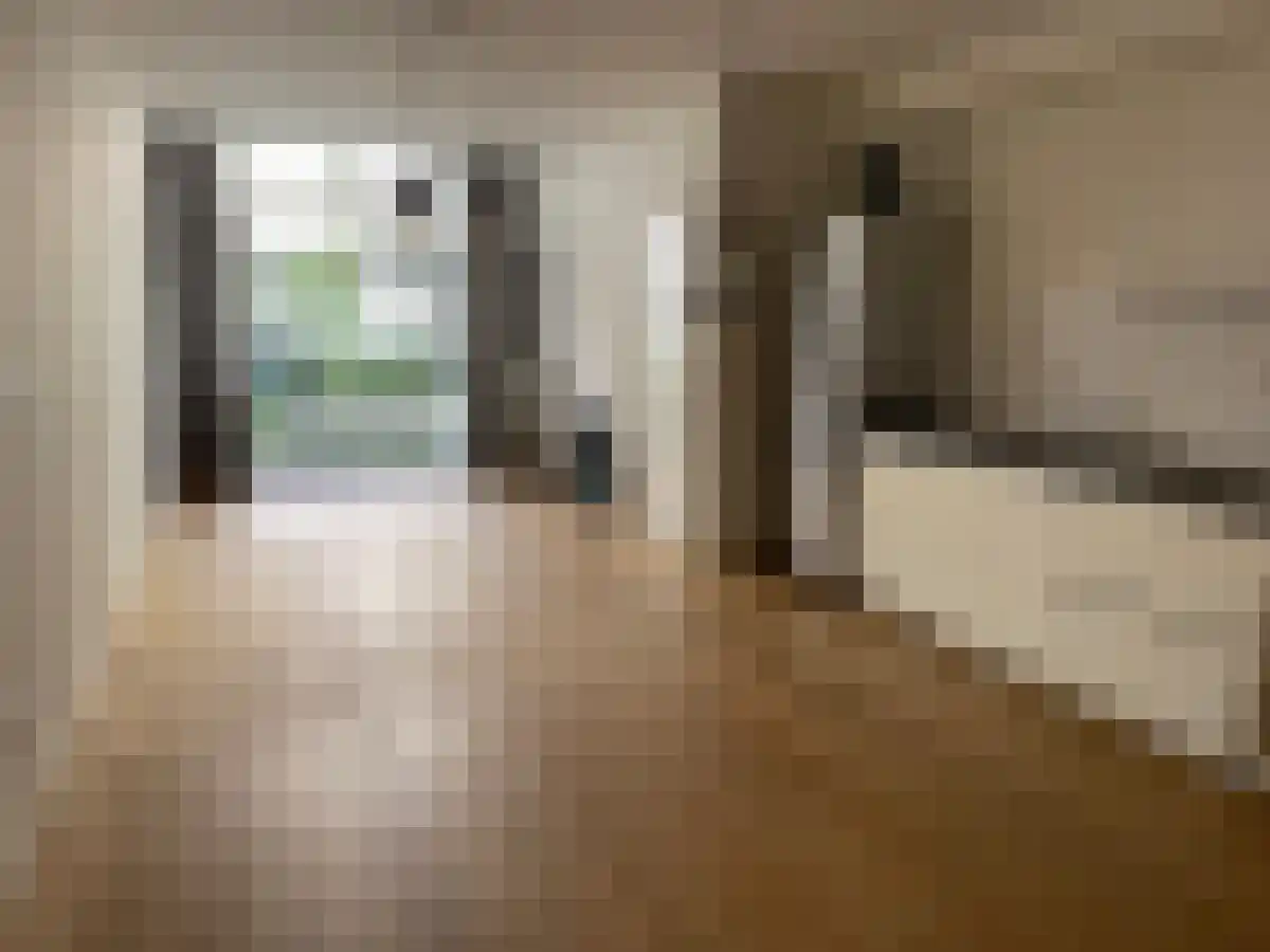 Saenredamstraat 14 Amsterdam thumbnail 6