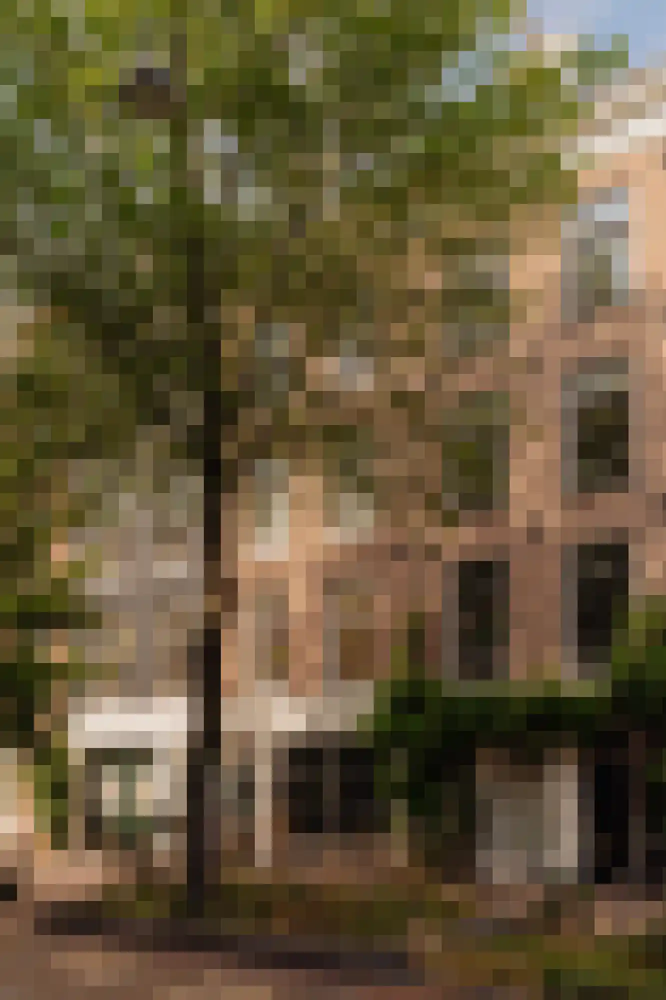 Saenredamstraat 17 1 Amsterdam thumbnail 19
