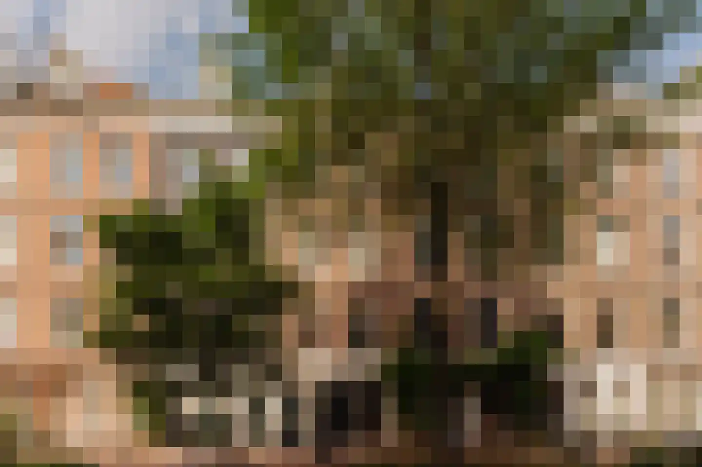 Saenredamstraat 17 1 Amsterdam thumbnail 4
