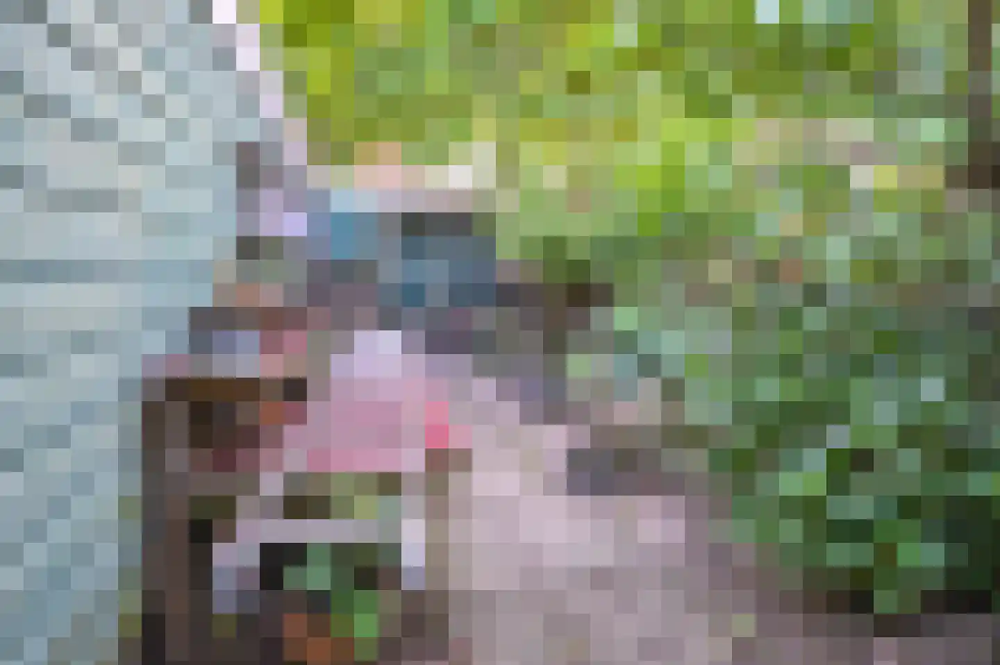 Saenredamstraat 2 Haarlem thumbnail 37