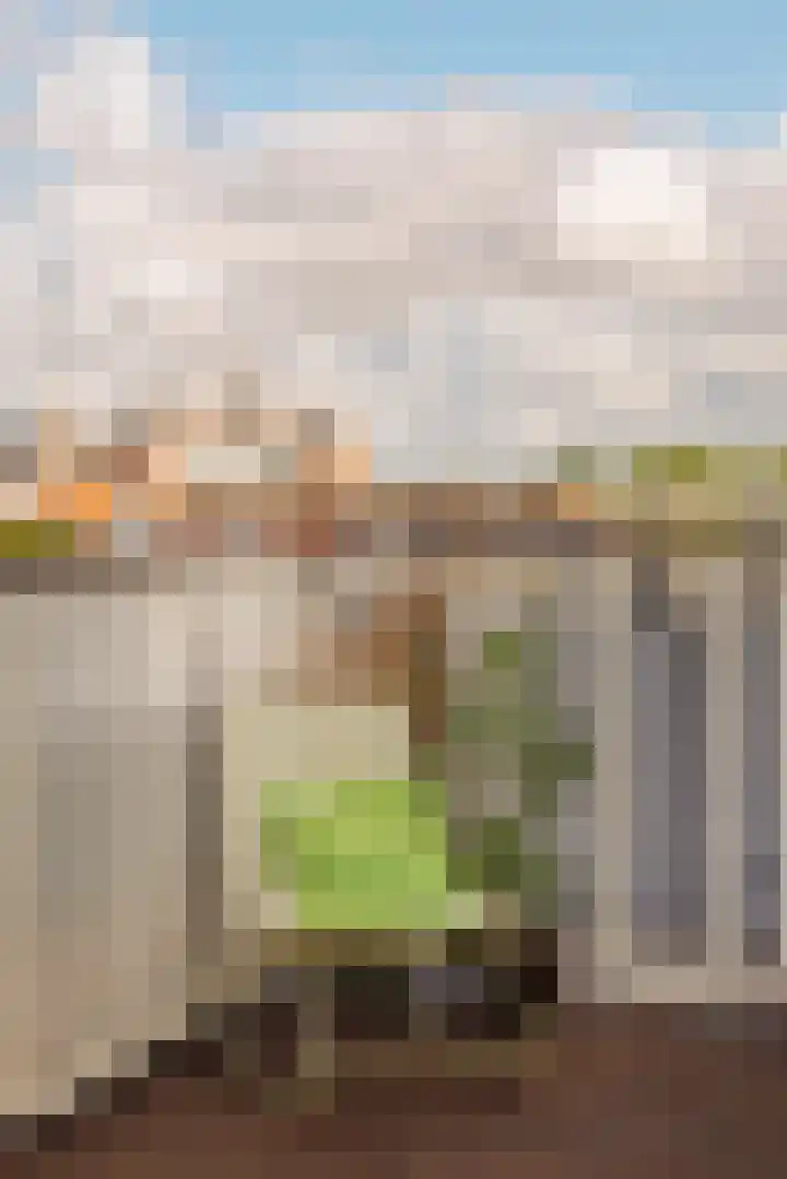 Saenredamstraat 20 E Amsterdam thumbnail 20